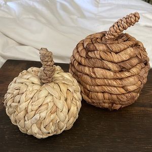 Wicker PUMPKIN Set (2)